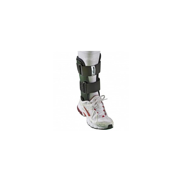 CAVIGLIERA STABIGIB BIVALVA GIBAUD ORTHO