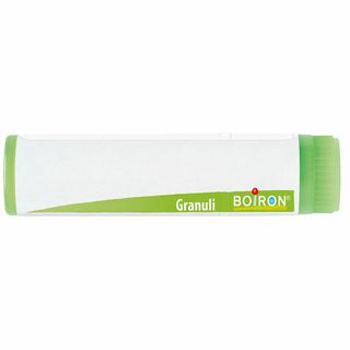 BENPED RIPARO DITA ANELLO GRANDE 2 PEZZI