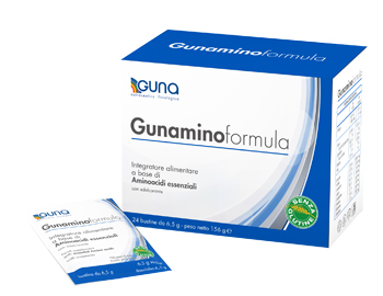 GUNAMINOFORMULA 24 BUSTINE 156 G