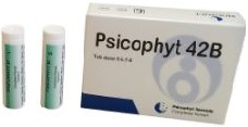 [937026387] PSICOPHYT REMEDY 42B 4 TUBI 1,2G