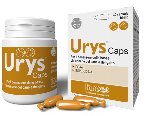 [982683068] URYS CAPS 30 CAPSULE