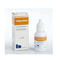 [905076535] COLIGERMINA SOSPENSIONE GASTROFUNZIONALE GOCCE 20 ML