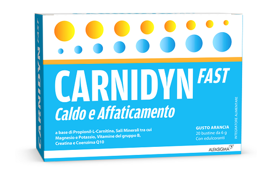 [932654167] CARNIDYN FAST 20 BUSTINE