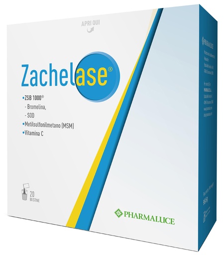 [942610116] ZACHELASE 20 BUSTINE